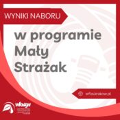 Grafika informacyjna nt. programu Mały Strażak