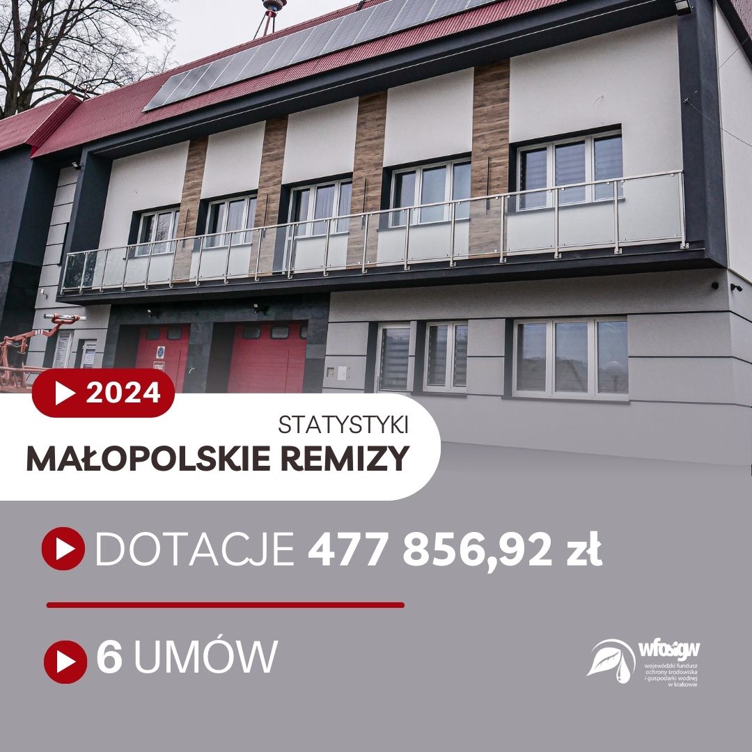 Grafika dekoracyjna nt. podsumowania programu Małopolskie Remizy 2024