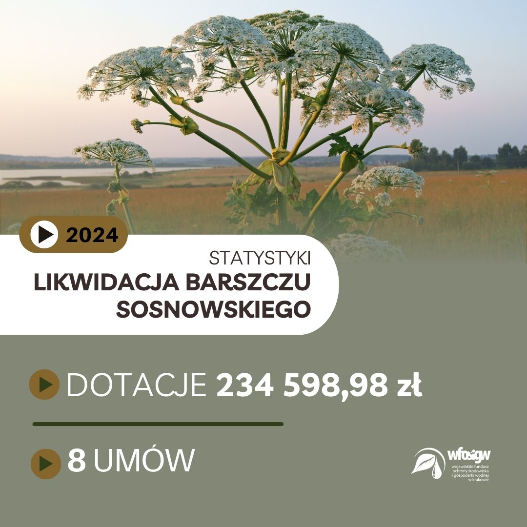 Grafika dekoracyjna nt. podsumowania programu Likwidacja Barszczu Sosnowskiego