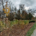 Zdjęcia z realizacji programu Małopolska Infrastruktura Rekreacyjno-Sportowa