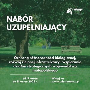 Grafika dekoracyjna nt. Naboru uzupełniającego do Programu Priorytetowego "Ochrona różnorodności biologicznej, rozwój zielonej infrastruktury i wspieranie działań strategicznych województwa małopolskiego"