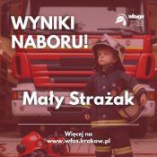 Grafika dekoracyjna nt. wyników naboru programu Mały Strażak