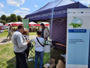 Doradca Energetyczny udzielający konsultacji