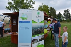 Rollup Projektu Doradztwa Energetycznego