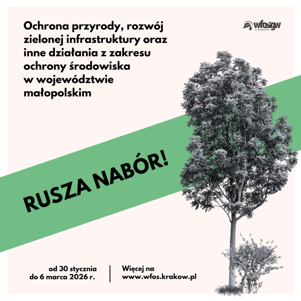 Ilustracja ogłaszająca nabór wniosków w ramach Programu Priorytetowego Ochrona przyrody, rozwój zielonej infrastruktury oraz inne działania z zakresu ochrony środowiska w województwie małopolskim