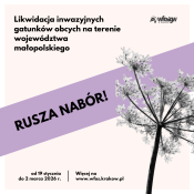 Rozpoczynamy nabór wniosków o dofinansowanie likwidacji inwazyjnych gatunków obcych na obszarze województwa małopolskiego