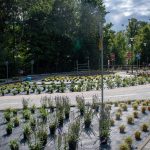 Grafika dek. Podsumowanie programu „Małopolska infrastruktura rekreacyjno-sportowa – MIRS”