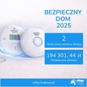 Grafika dekoracyjna nt. Podsumowanie programu “Bezpieczny Dom” 2025