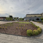 Grafika dekoracyjna nt. Podsumowanie Programu Priorytetowy „Ochrona różnorodności biologicznej, rozwój zielonej infrastruktury i wspieranie działań strategicznych województwa małopolskiego”