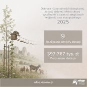 Grafika dekoracyjna nt. Podsumowanie Programu Priorytetowy „Ochrona różnorodności biologicznej, rozwój zielonej infrastruktury i wspieranie działań strategicznych województwa małopolskiego”