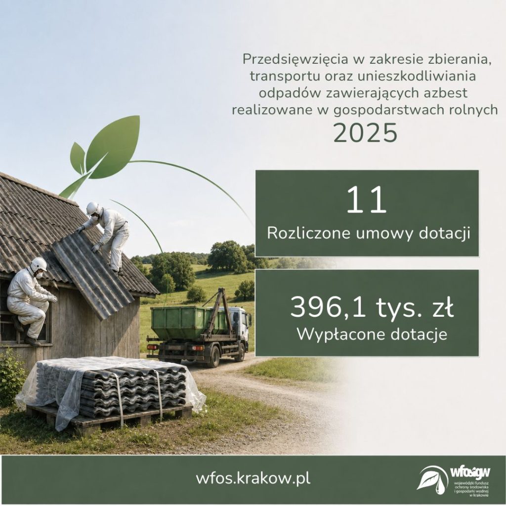 Grafika dekoracyjna dot. Podsumowanie Programu Priorytetowego „Ogólnopolski program finansowania usuwania wyrobów zawierających azbest" w 2025 roku