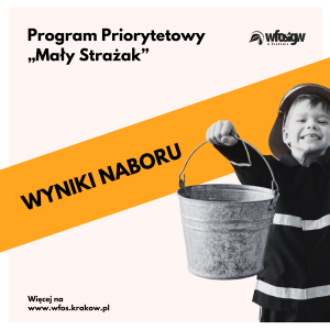 grafika przedstawiająca program Mały Strażak